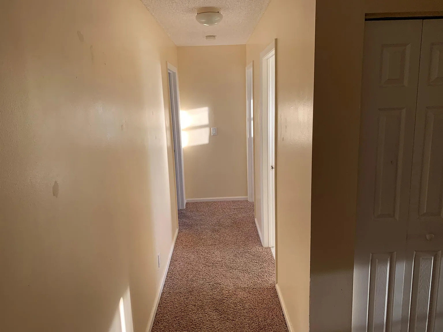 4 bed, 2.5 bath, 1956 sqft, $3,200 — Photo 4