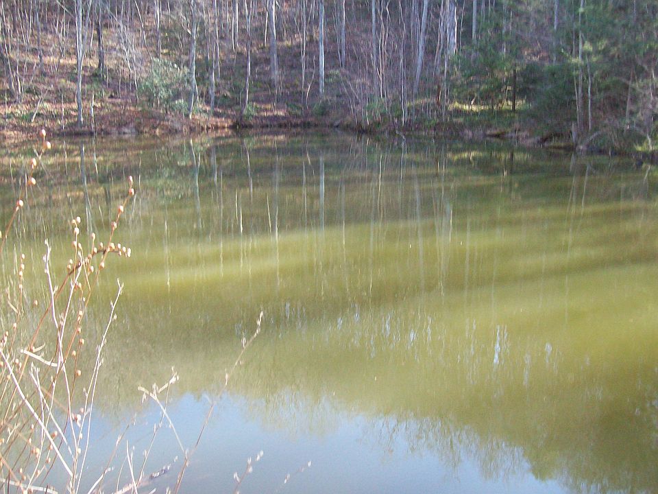 1st image of West Short Mountain