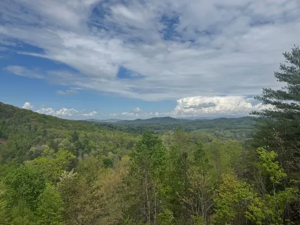 7 Salt Lick Ln, Brasstown, NC 28902