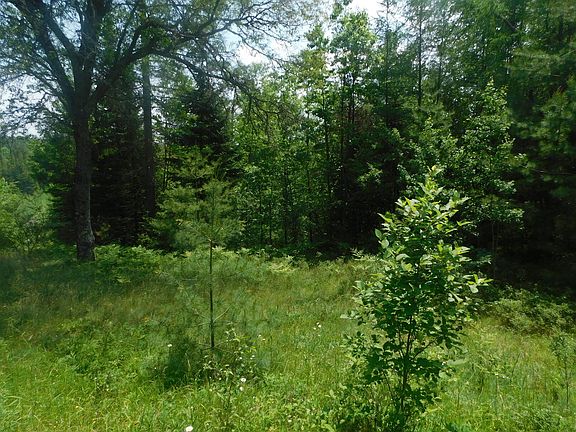 5th image of 2317 Royce Haven Ave Lot 32