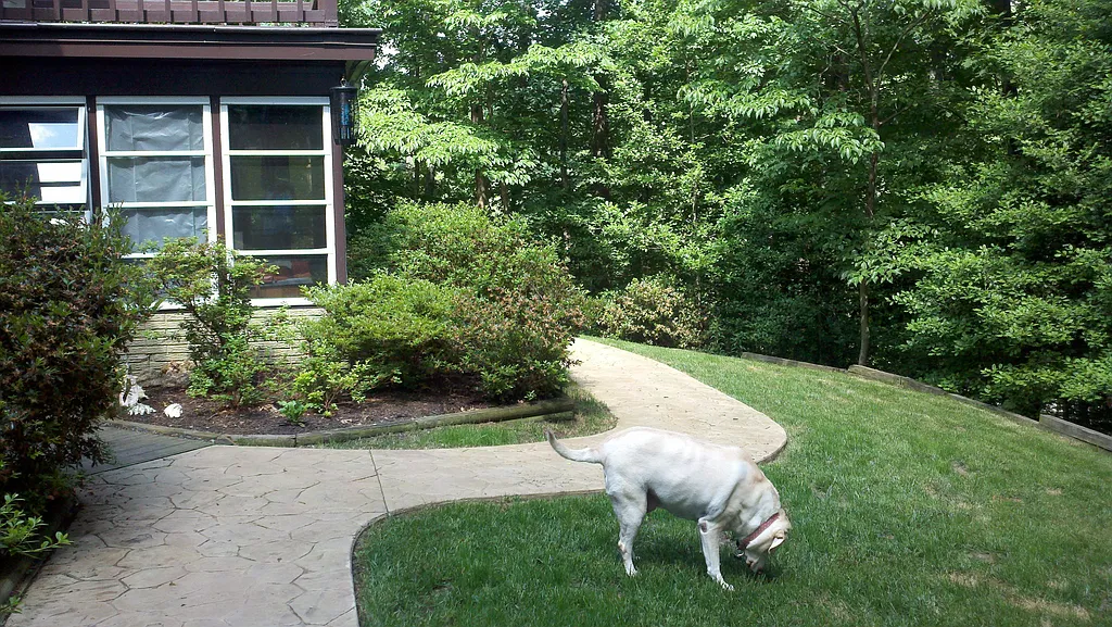 Property photo 5