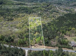 253 The Lndg #1300, Blairsville, GA 30512