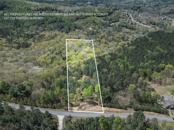 253 The Lndg #1300, Blairsville, GA 30512