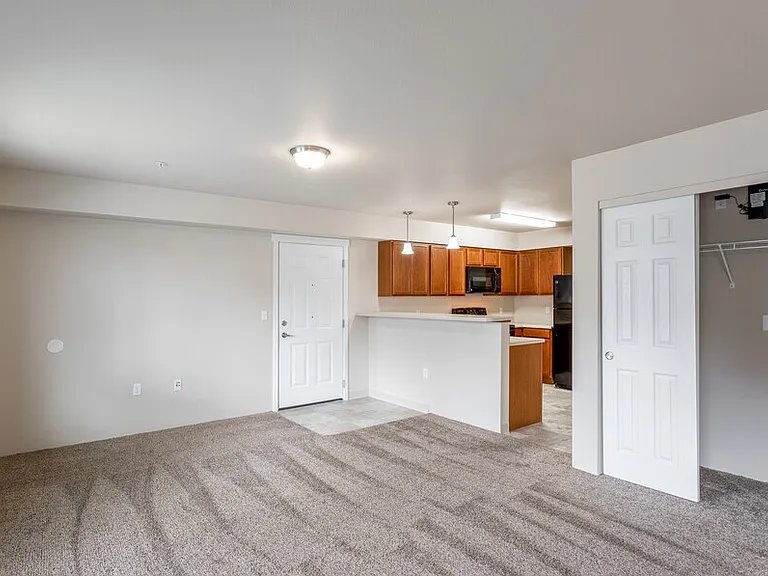 Entry and living area with closet