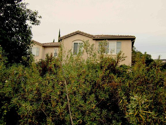 view from adjacent preserve area