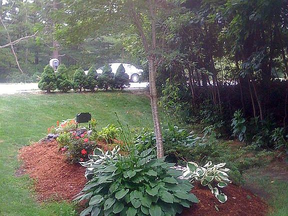 Island front yard by road