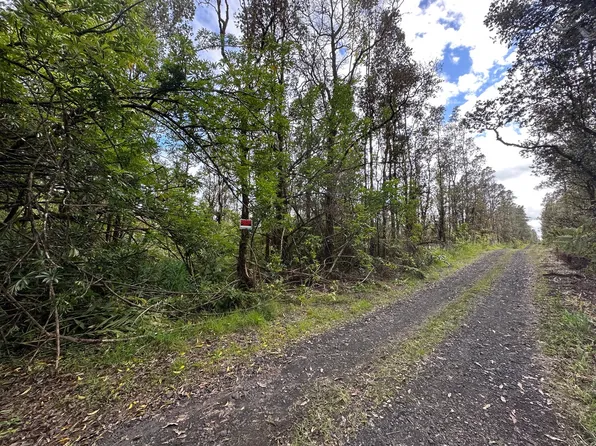 11-1821 Paniolo St Lot 35, Mountain View, HI 96771