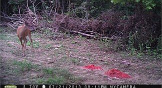 4th image of 12661 Fallsburg Rd