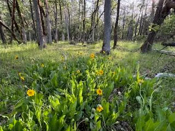 36435 Ditch Creek Rd #204, Rogue River, OR 97537