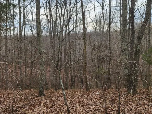 0 Birdsong Rd, Holladay, TN 38341