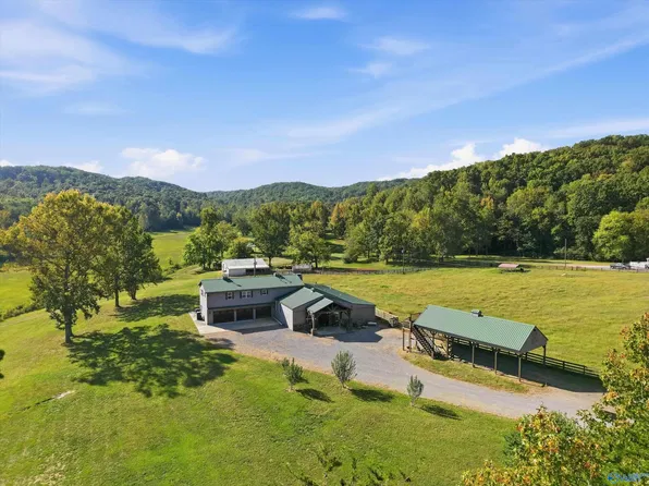 53 Days Gap Rd, Falkville, AL 35622