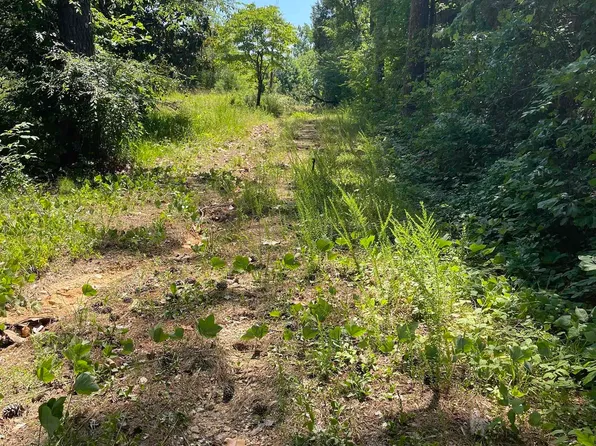 Spunky Hollow Rd #1, Remlap, AL 35133