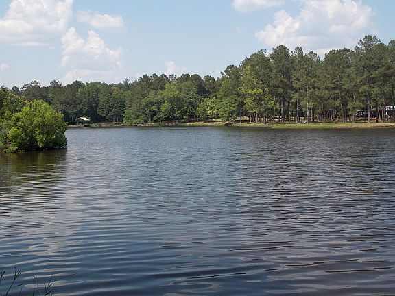 4th image of 90 Holly Lake Dr