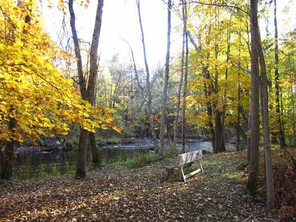 Bench by River