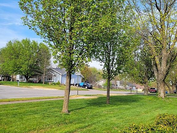 Trees in front yard