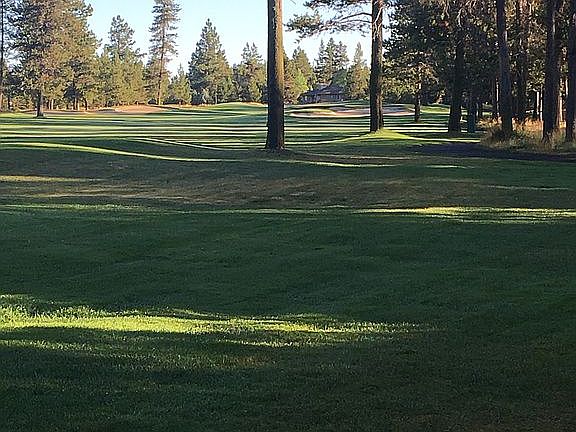 Lipoma Firs Golf Course
