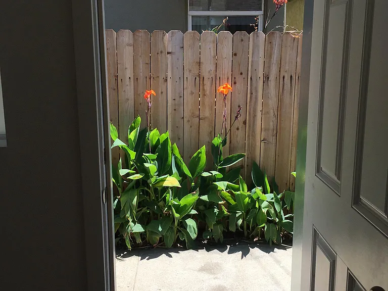 229 N Avenue 59 #229 — Photo 10