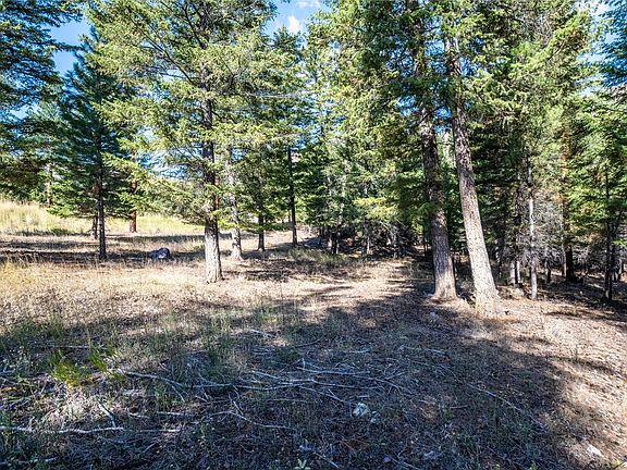 LOT 2 Caddisfly Ct, Clinton, MT 59825 | MLS #30030985 | Zillow