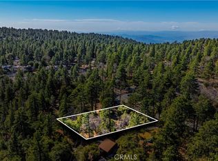 1 Mountain View Dr, Idyllwild, CA 92549