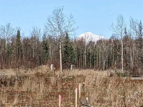 47345 S Hawk Ave, Talkeetna, AK 99676