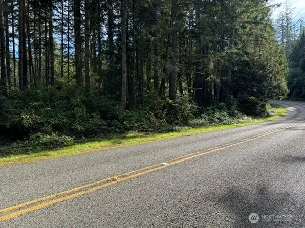11503 Lake Josephine Avenue, Anderson Island, WA 98303