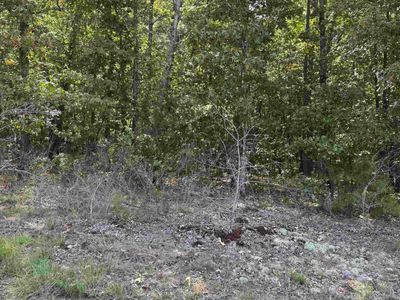 25222 Blue Gill Dr, Roland, AR, 72135