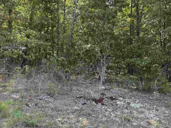 25222 Blue Gill Dr, Roland, AR 72135