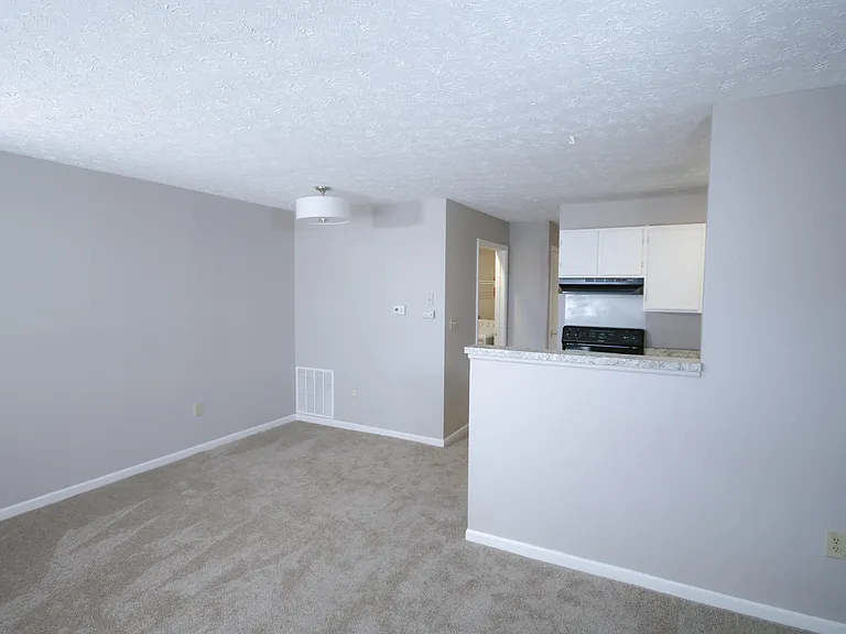 Paragon Pointe — Photo 11