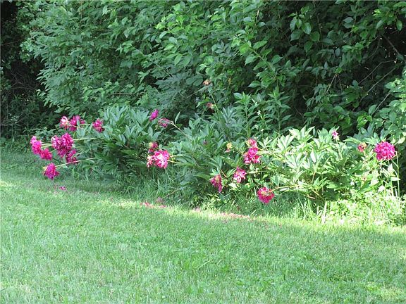 3rd image of 102 Pheasant Cir