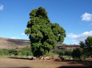 Menehune Rd, Waimea, HI 96796