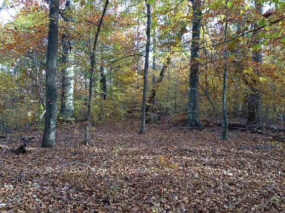 2nd image of Sandy Ford Rd