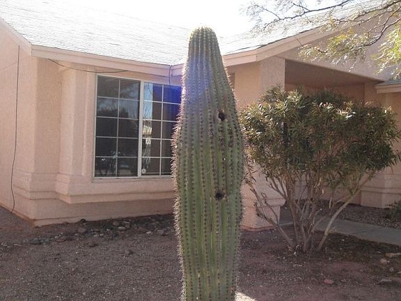 2nd image of 9620 E Caldwell Dr