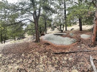 255 Pinon Ln, Florissant, CO 80816