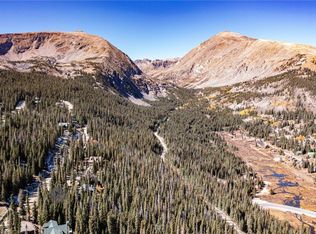 160 Quandary View Dr, Breckenridge, CO 80424