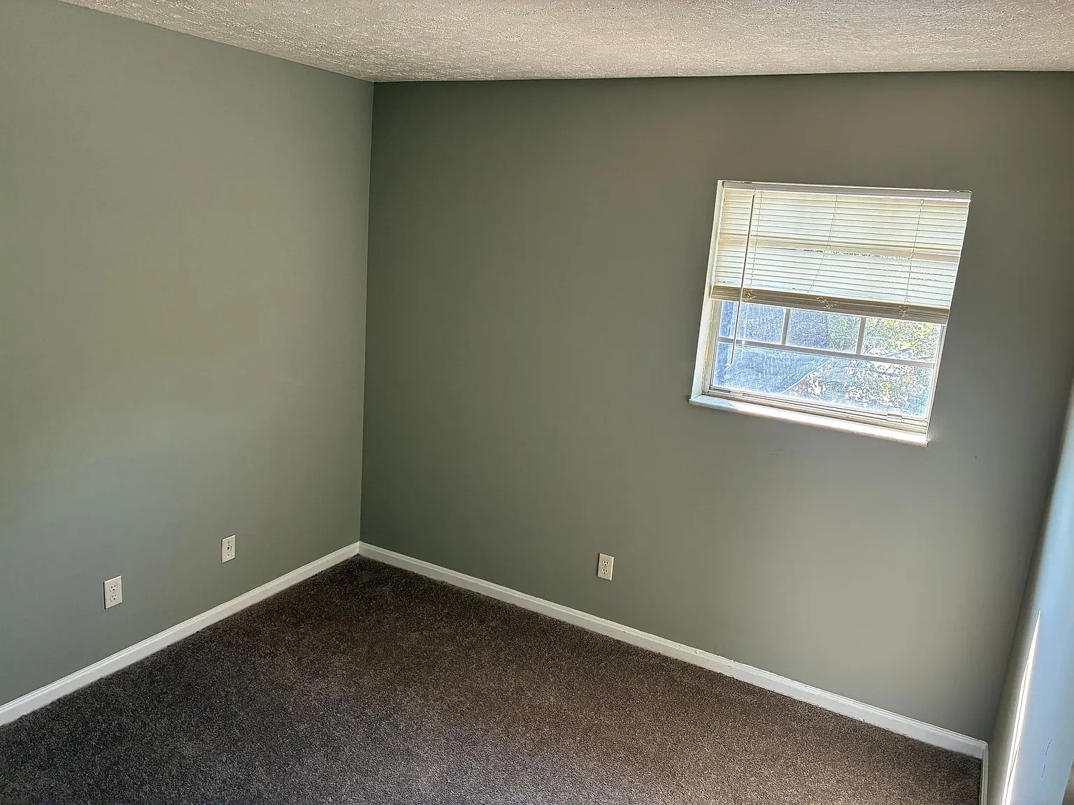 New Cut Apartments — Photo 2