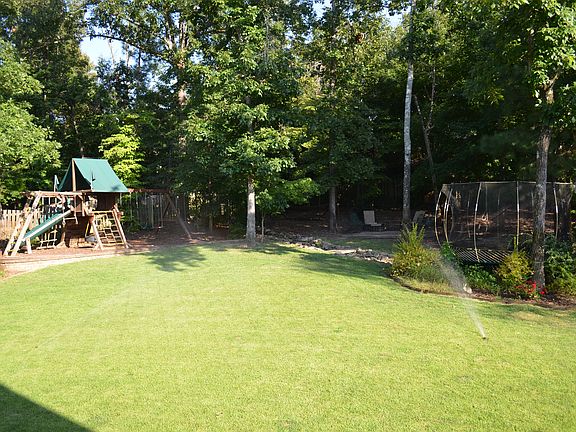 Great Backyard!