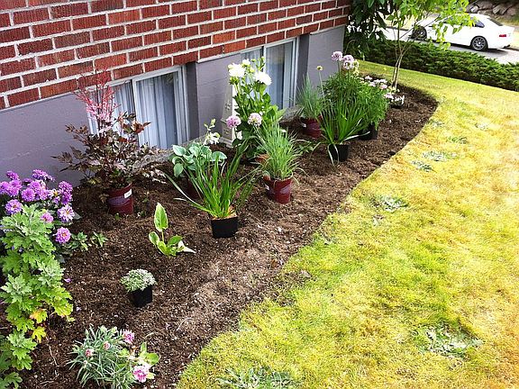 Small gardens, easy care