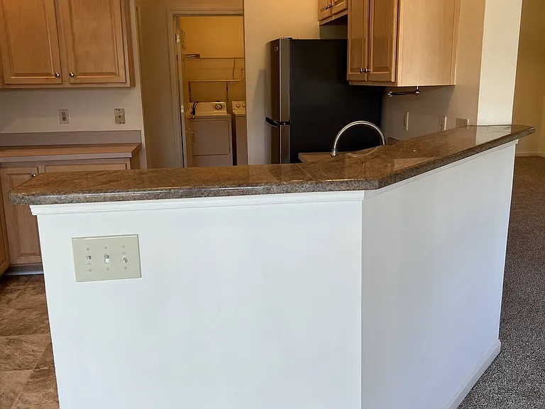 439 Hopkins Landing Dr — Photo 6