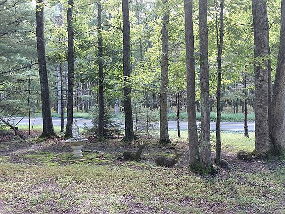 3rd image of 924 Old Stage Rd