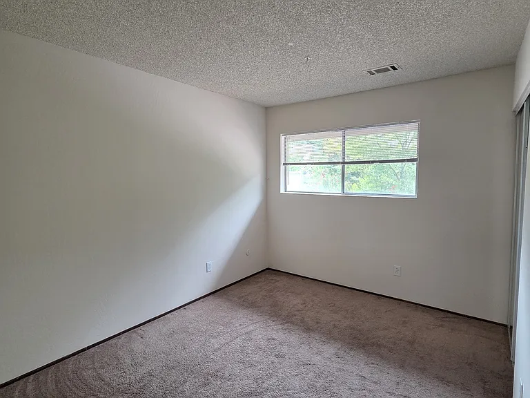 3103 Lucero Ct — Photo 13