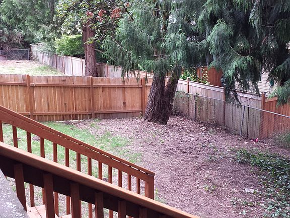 Huge Backyard
