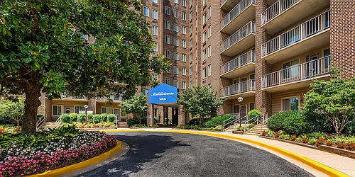 Middletowne & The Dona Photo 1