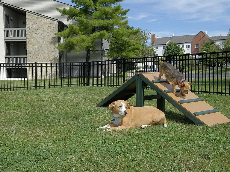 Pointe at Northern Woods — Photo 38