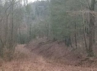 2346 Pleasant Gap Rd, Ellijay, GA 30540