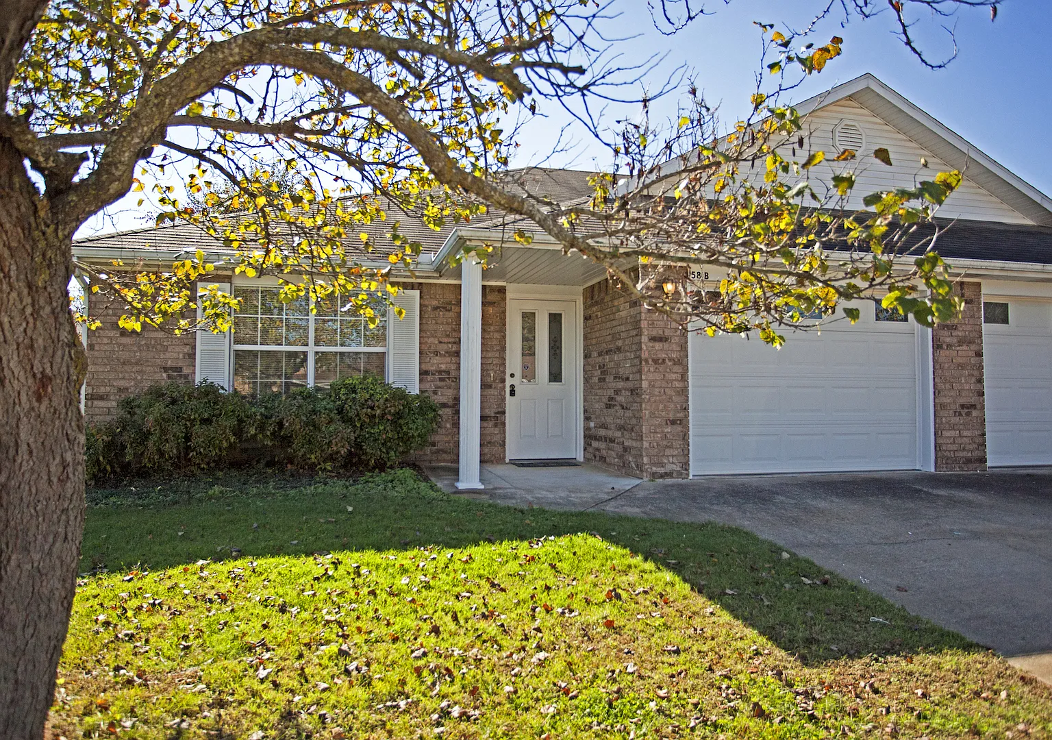 58 B Holly — Photo 1