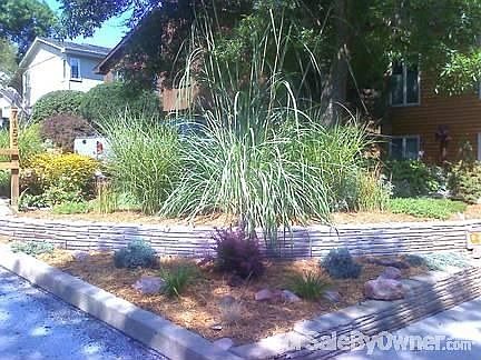 Main Wall - Early Sum Grass - Face House