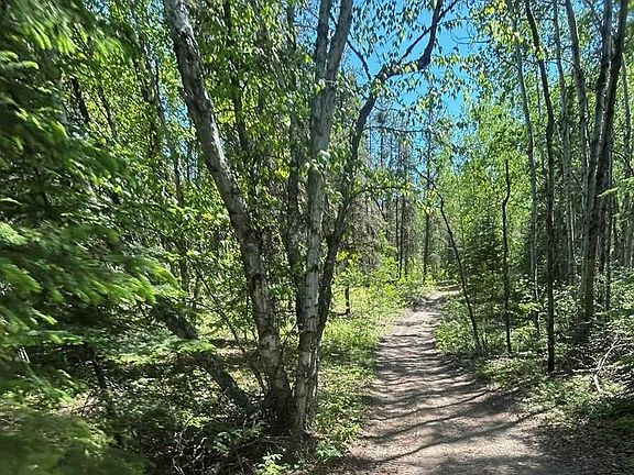 5th image of 2 Canoe ROAD