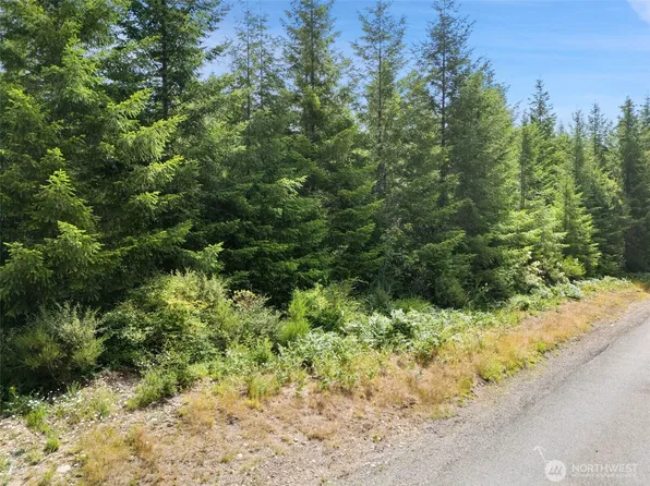 0 Lot A W Satsop Road E, Elma, WA 98541