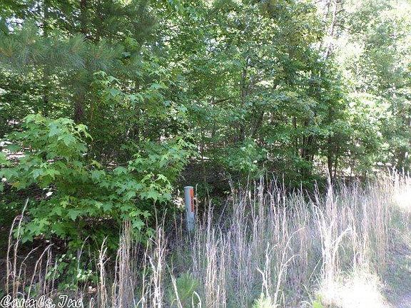 3rd image of Brush Mountain Trl Lot 29