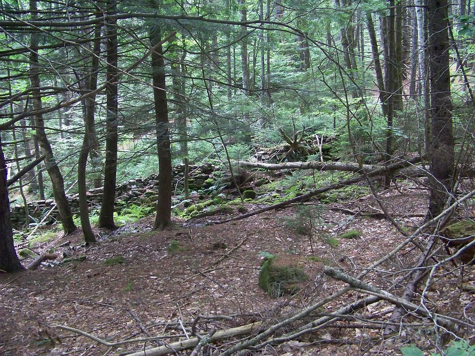 2nd image of 1003 Quarry Hill Road